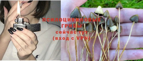 гидра Балахна